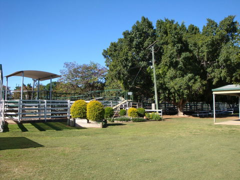 Blackall Saleyards - Local Tourism 1
