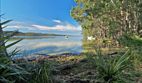 Black Oaks Picnic Area - Local Tourism 0