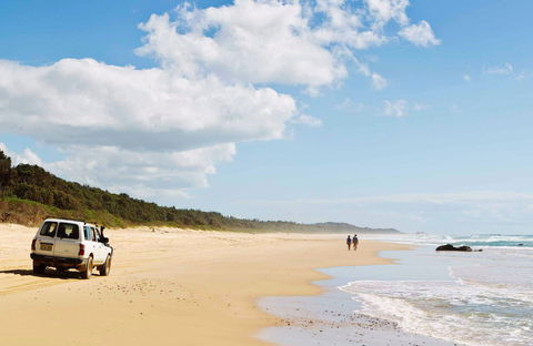 Bongil Bongil National Park - Accommodation Australia 0