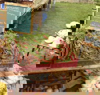 Burnie Farmers Market - Local Tourism