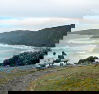 Connors Walking Track - Local Tourism