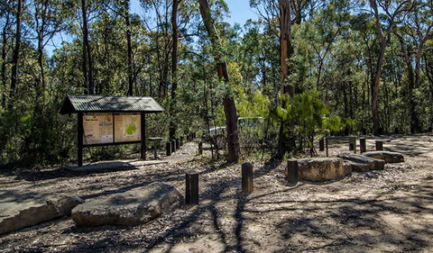 Couridjah Corridor Walk - Local Tourism 0