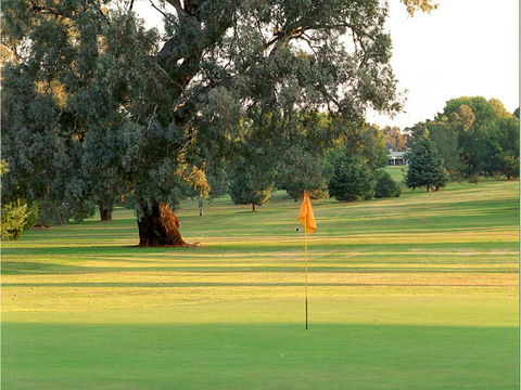 Cowra Golf Club - Accommodation Australia 1