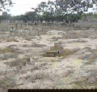 Culgoa Connellys Track - Accommodation Australia