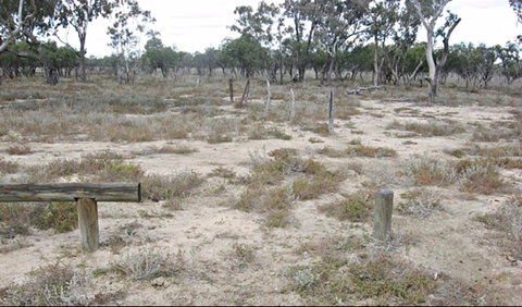 Culgoa Connellys Track - Accommodation Australia 0