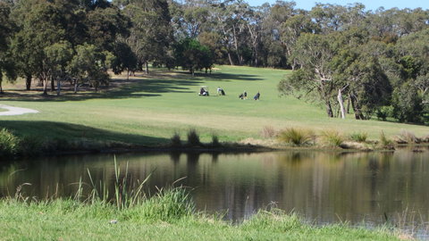 Devilbend Golf Club - Accommodation Australia 1