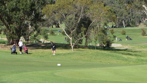 Devilbend Golf Club - Accommodation Australia 2