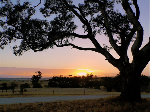 Eden Valley Lookout - Accommodation Australia 0
