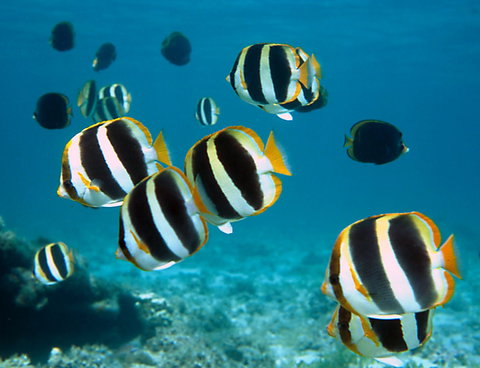 Erscott's Hole - Local Tourism 1