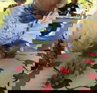 Euraba Paper Aboriginal Corporation - Australia Shopping