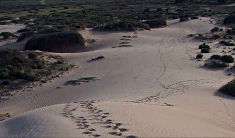 Foreshore Walk, Mungo National Park - Bed n Breakfasts 0