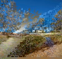 Freshwater Creek Track Byfield National Park - Local Tourism