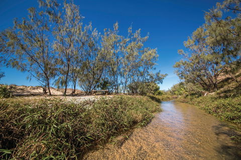 Freshwater Creek Track, Byfield National Park - Local Tourism 0