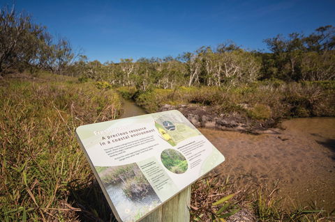 Freshwater Creek Track, Byfield National Park - Local Tourism 1