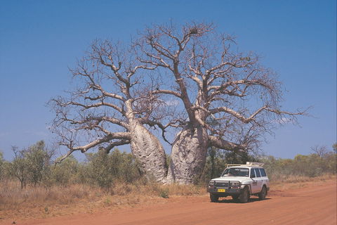 Gibb River Road - Accommodation Australia 2