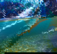 Glenreagh - Local Tourism