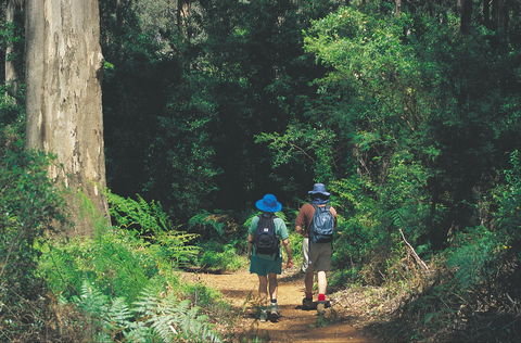 Gloucester National Park - Local Tourism 0