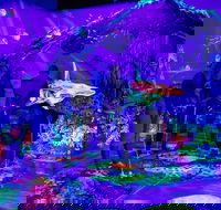 Glowing Rooms 3D Mini Golf - Accommodation Australia