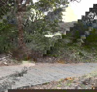 Great North Walk  Ku-ring-gai Chase National Park - Accommodation Australia