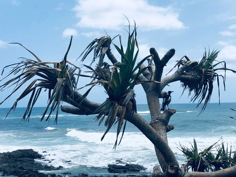 Hastings Point Beach - Local Tourism 0