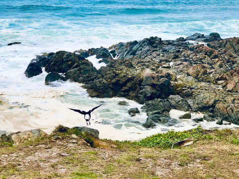 Hastings Point Beach - Local Tourism 2