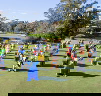 Hello Koalas Sculpture Trail - Local Tourism