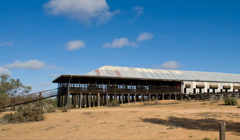 Kinchega Woolshed - Accommodation Australia 0