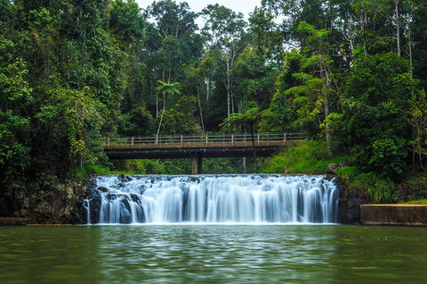 Malanda Falls - Accommodation Australia 0