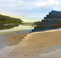 Mangrove Walk - Local Tourism