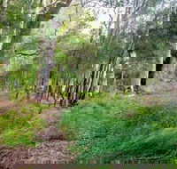 Meroo Lake walking track - Local Tourism