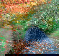 Mount Wilson and Mount Irvine - Local Tourism