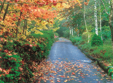 Mount Wilson And Mount Irvine - Local Tourism 0