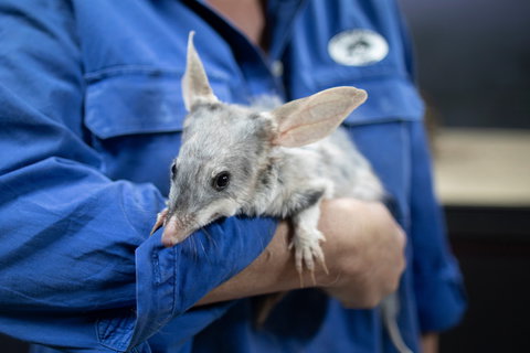 Natural Sciences Loop - Accommodation Australia 2