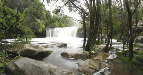 Nellies Glen Carrington Falls - Local Tourism 0