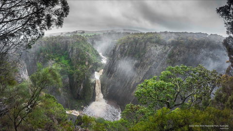 Oxley Wild Rivers National Park - Accommodation Australia 0