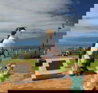 Penguin - Local Tourism