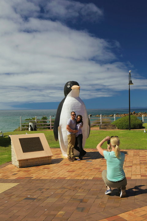 Penguin - Local Tourism 0