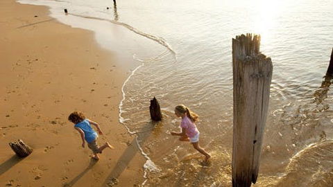 Phillip Island - Local Tourism 0
