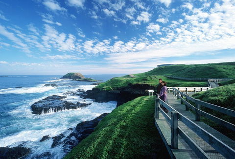 Phillip Island - Local Tourism 1