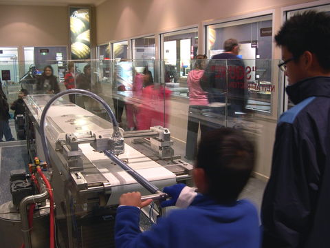 Phillip Island Experience - Local Tourism 1