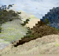 Pieries Peak Walking Track - Accommodation Australia