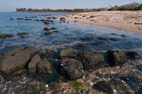 Point Cook Marine Sanctuary - Accommodation Australia 0