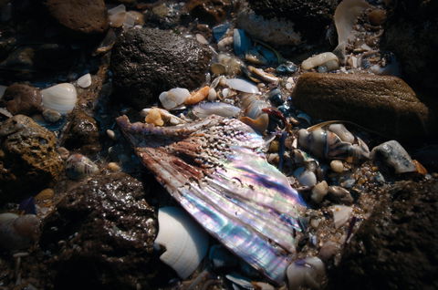Point Cook Marine Sanctuary - Accommodation Australia 1