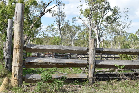 Princess Hills, Girringun National Park - Local Tourism 2