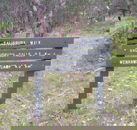 Salisbury Falls Walk - Accommodation Australia