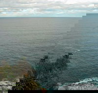 Snapper Point Lookout - Local Tourism