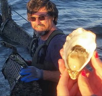 Southern Yorke Oysters - Accommodation Australia