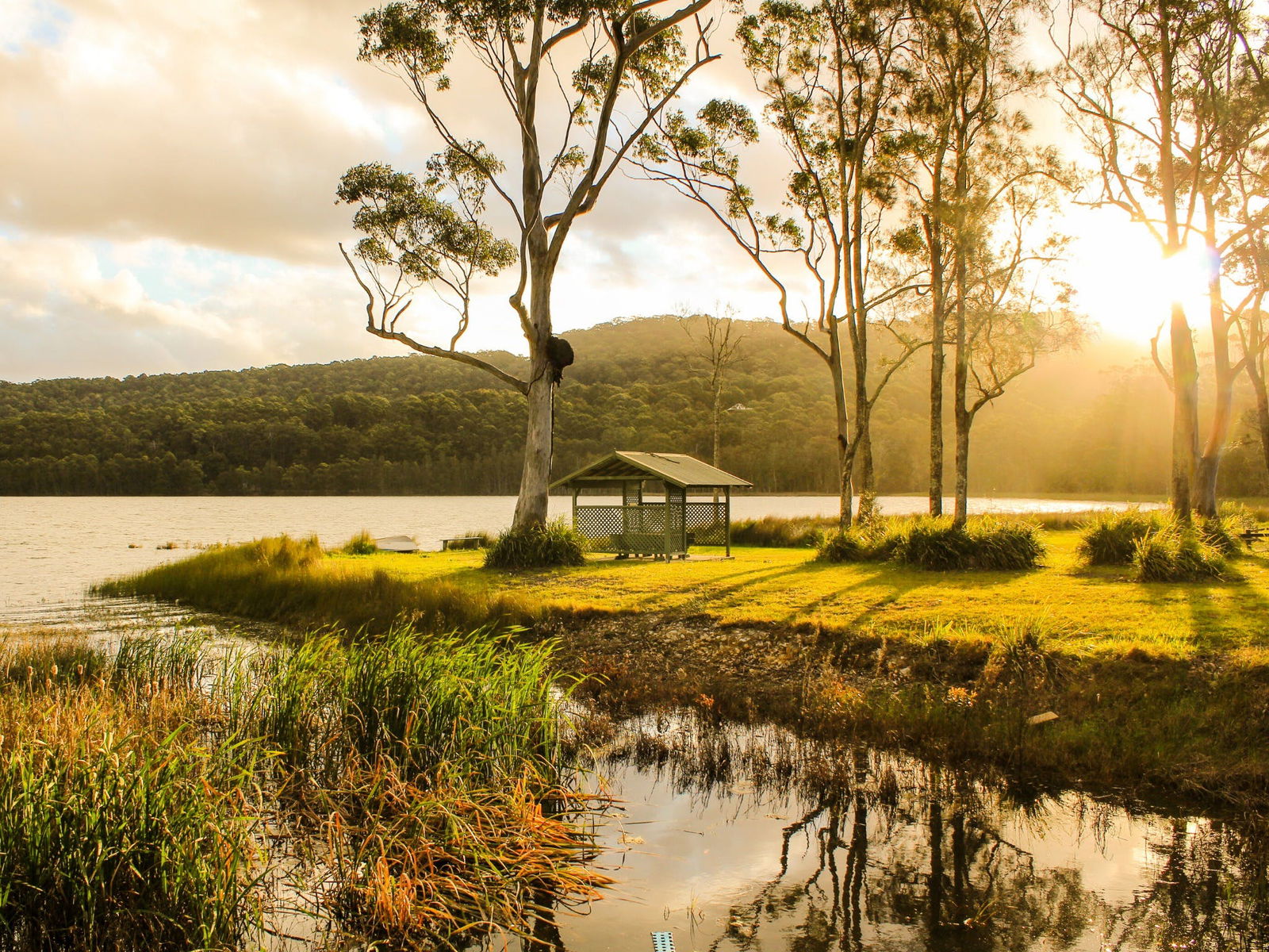 Tarbuck Bay NSW Accommodation Australia