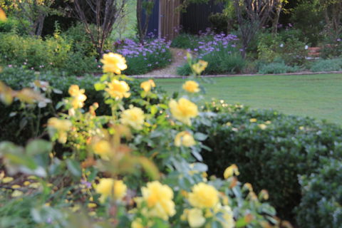The Bath House Garden - Local Tourism 1