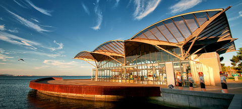 The Carousel - Local Tourism 0